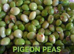 download 27 Nutritional Facts, Information & Health Benefits of Pigeon Pea