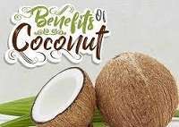 download 29 Health Benefits of Coconut, Tips and Risks