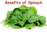 images 1 15 Health Benefits of Spinach, Tips and Risks