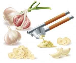 clipart with sprouted head garlic peeled cloves chopped slices metal press 1441 2221 Lahsun / Garlic Ke Fayde In Hindi (लहसुन के फायदे)