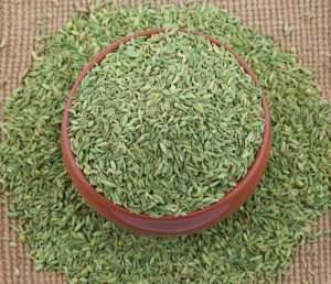 healthy fennel seed 55610 639 Saunf Ke Fayde In Hindi (सौंफ के फायदे)