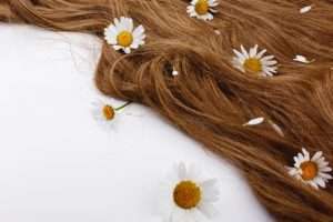 little white flowers lie brown hair curls 8353 7031 Jaitun Ka Tel Benefits In Hindi (जैतून के तेल के फायदे)
