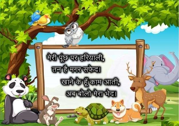 dimagi question in hindi