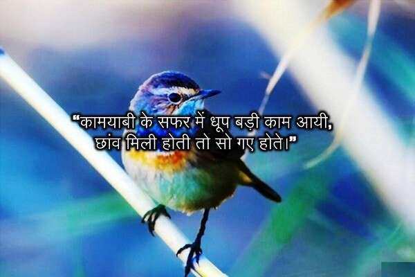3 1 Suvichar In Hindi Good Morning और Suvichar Images In Hindi