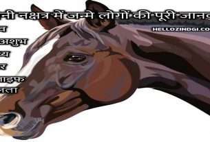 ashwini nakshatra hellozindgi horse head HELLOZINDGI.COM