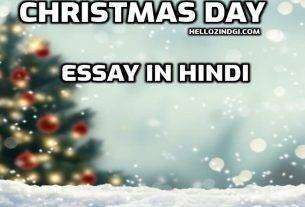 Christmas Day Nibandh In Hindi Christmas Day Short Essay