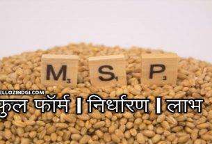 MSP Full Form In Hindi What Is MSP In Agriculture