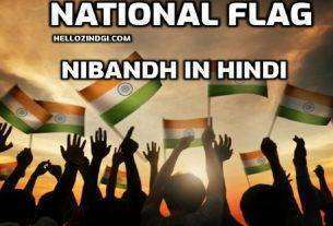 National Flag Par Nibandh In Hindi National Flag Short Essay