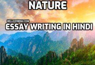 Nature Essay Writing In Hindi Why Nature Is Important Essay
