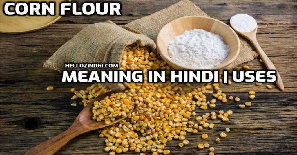 Corn Flour Ko Hindi Mein Kya Kahate Hain Meaning Of Corn Flour In Hindi
