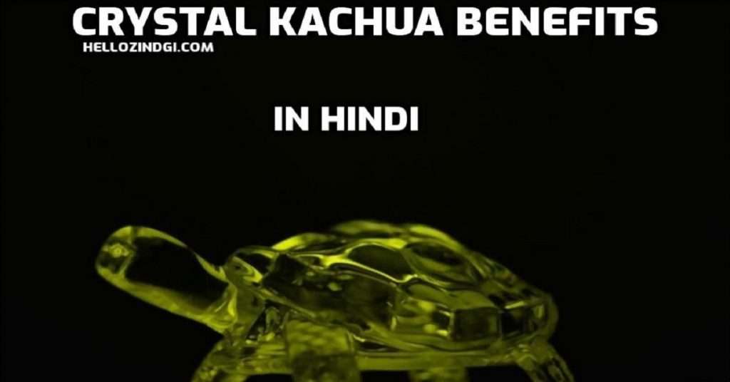Crystal Kachua Benefits ध्यान रखें ये 5 बातें