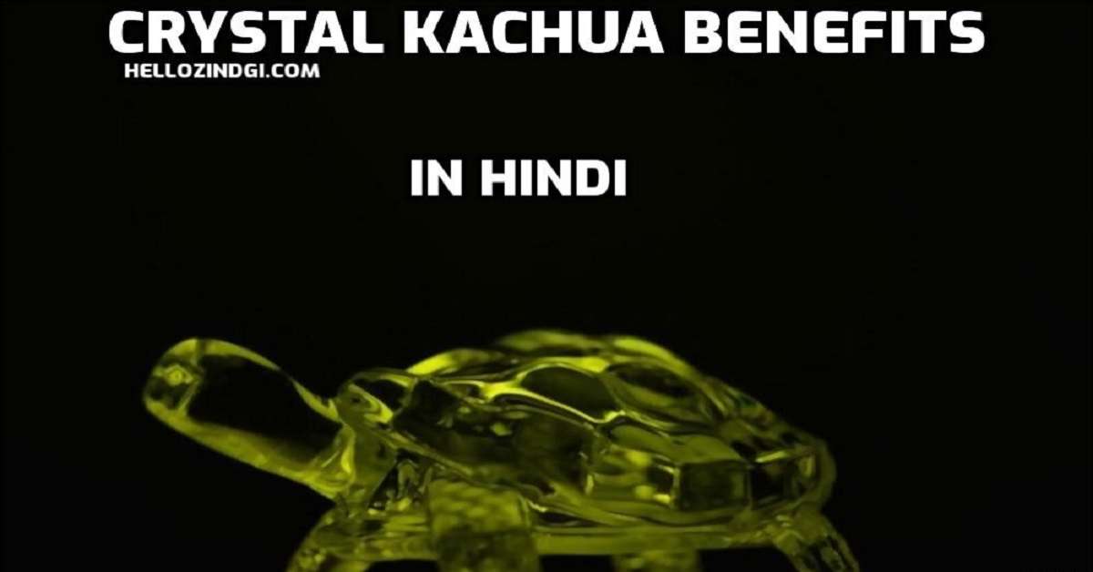 Crystal Kachua Benefits Crystal Kachua Benefits | ध्यान रखें ये 5 बातें