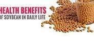 download 1 10 Health Benefits of Soybean, Tips and Risks