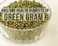 download 1 13 Health Benefits of Green Grain, Tips and Risks