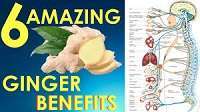 download 1 9 Health Benefits of Ginger, Tips and Risks