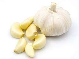 download 19 Nutritional Facts, Information & Health Benefits of Garlic Vegetable