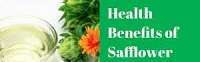 download 2 1 Health Benefits of Safflower Seeds, Tips and Risks
