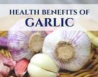 download 20 Health Benefits of Garlic, Tips and Risks