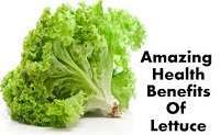 download 21 Health Benefits of Lettuce, Tips and Risks