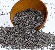 download 30 Nutritional Facts, Information & Health Benefits of Mustard Seeds