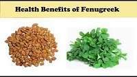 images 1 11 Health Benefits of Fenugreek, Tips and Risks