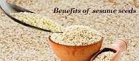 images 1 23 Health Benefits of Sesame Seeds, Tips and Risks