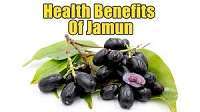 images 2 1 Health Benefits of Jambul Fruit, Tips and Risks