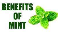images 23 Health Benefits of Mint, Tips and Risks