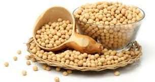images 26 Nutritional Facts, Information & Health Benefits of Soybean
