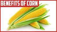 images 29 Health Benefits of Maize, Tips and Risks