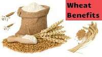 images 31 Health Benefits of Wheat, Tips and Risks