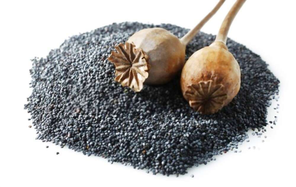 Poppy Seeds Hindi खस खस/ पोस्त दाना Benefits प्रयोग विधि » HELLOZINDGI
