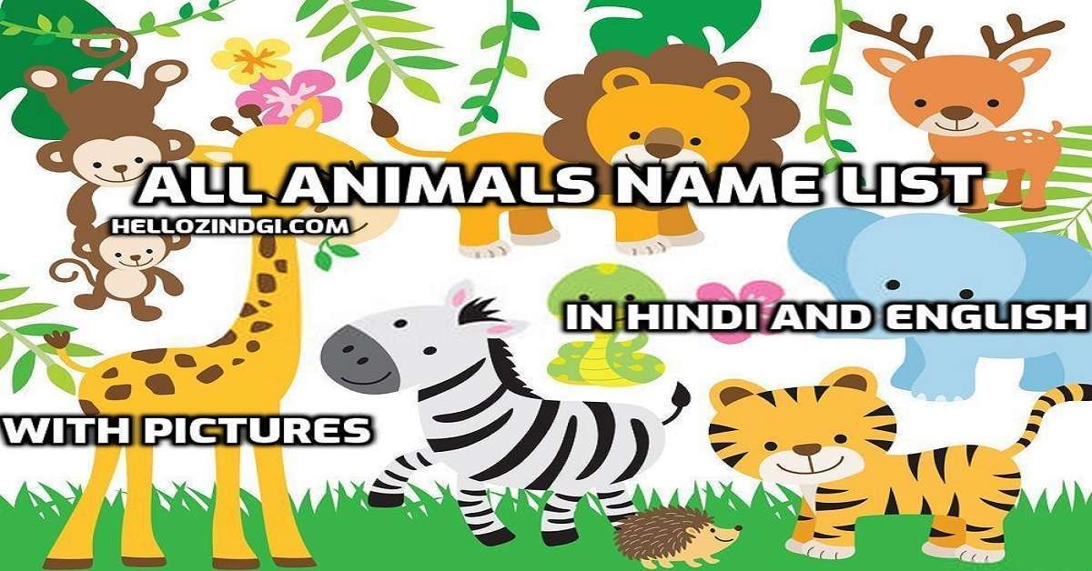 Animal Names in Hindi & English with Pictures