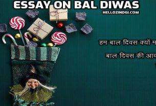 Bal Diwas Essay Writing Hindi Essay On Bal Diwas
