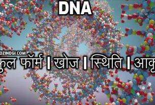 DNA Full Form in Hindi RNA Full-Form IN Hindi