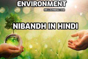 Environment Nibandh In Hindi Our Environment Short Essay