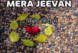 Mera Jeevan Par Nibandh In Hindi Mera Jeevan Short Essay