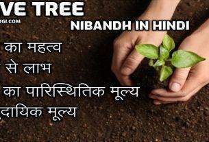 Save Tree Par Nibandh In Hindi Save Tree Short Essay