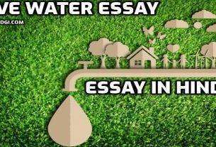 Save Water Essay In Hindi Save Water Par Nibandh