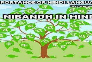 importance of hindi language nibandh