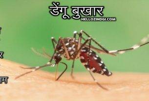 डेंगू बुखार । मलेरिया। कारण। लक्षण । उपचार । बचाव । रोकथाम