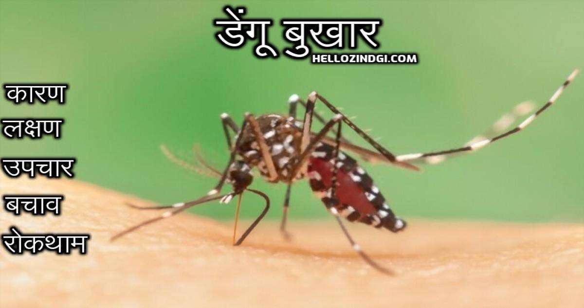 डेंगू बुखार । मलेरिया। कारण। लक्षण । उपचार । बचाव । रोकथाम