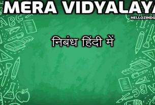 मेरा विद्यालय निबंध हिंदी में Mera Vidyalaya Short Essay