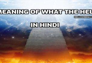 व्हाट द हैल का हिंदी अर्थ Hindi Meaning of What The Hell