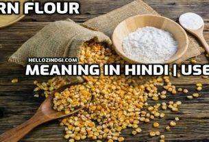 Corn Flour Ko Hindi Mein Kya Kahate Hain Meaning of Corn Flour In Hindi