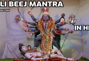 Kali Beej Mantra in Hindi