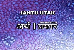 हिंदी के हिसाब से Jantu Utak का पूरा अर्थ जानें वो भी गहराई से