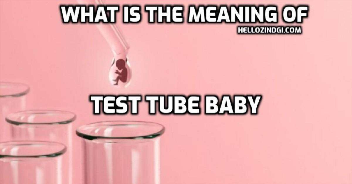 हिंदी के हिसाब से Test Tube Baby का पूरा अर्थ जानें वो भी गहराई से