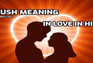 Crush Meaning in Love in Hindi Crush Meaning in Love in Hindi