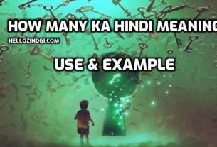 How Many Ka Hindi Meaning Use & Example